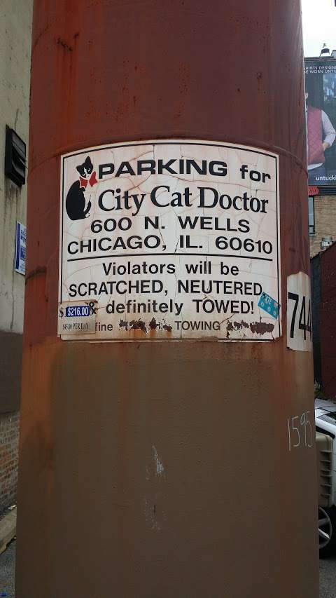 City Cat Doctor