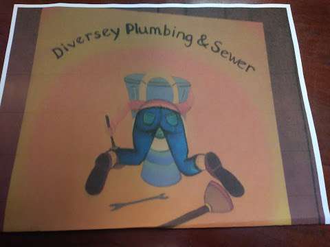 Diversey Plumbing and Sewer