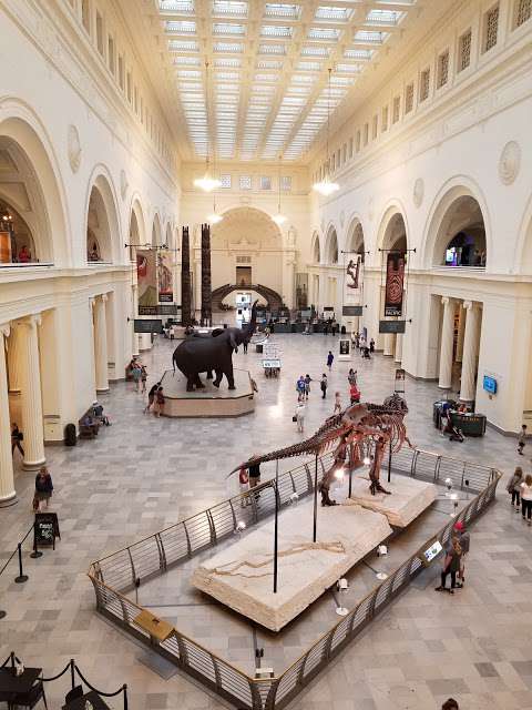 The Field Museum
