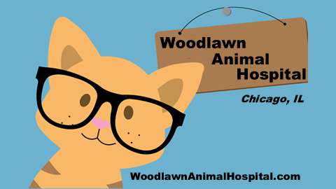 Woodlawn Animal Hospital